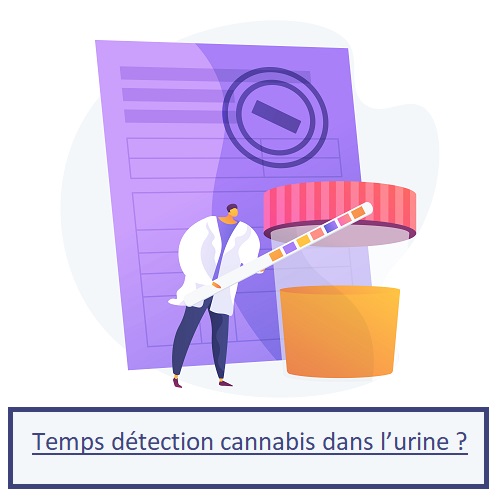 Temps détection cannabis dans l'urine